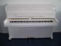 Piano del sol 109
